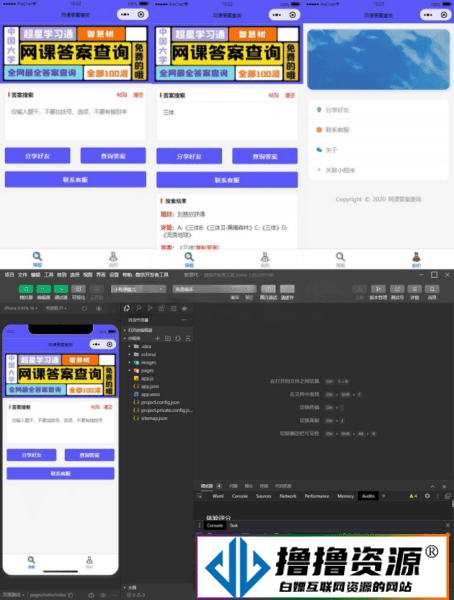 多接口题库网课搜题微信小程序源码带流量主|不死鸟资源网