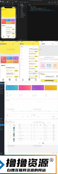 最新抖音娱乐测评引流小程序源码/Thinkphp后端|不死鸟资源网