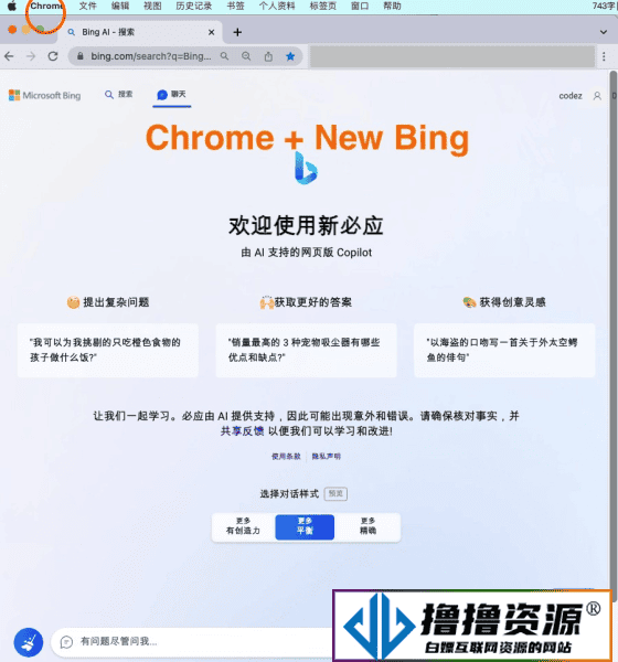 微软New Bing完美聊天机器人源码，支持ChatGPT提示词 国内可用，基本兼容微软 Bing AI 所有功能|不死鸟资源网