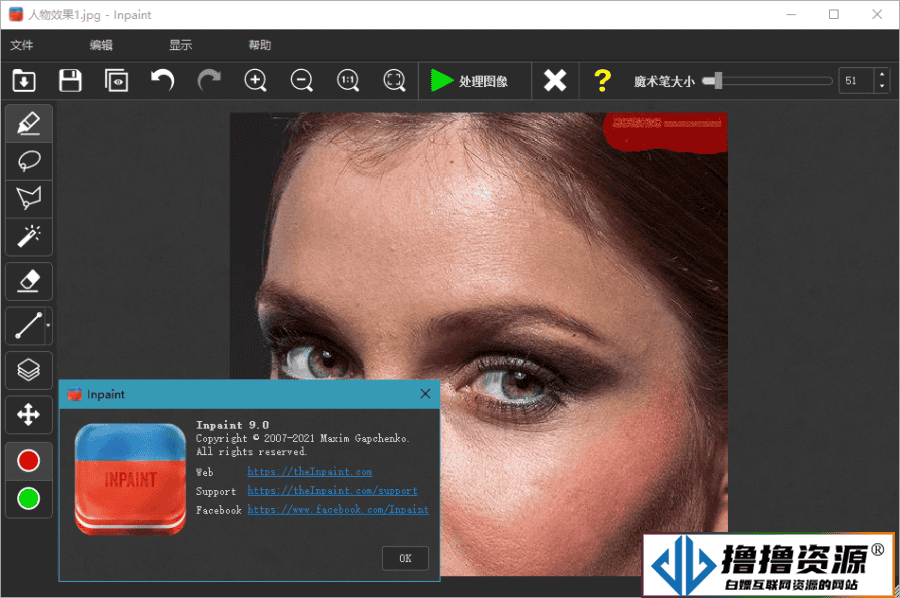 图片去水印Inpaint v10.2单文件 - 不死鸟资源网|不死鸟资源网