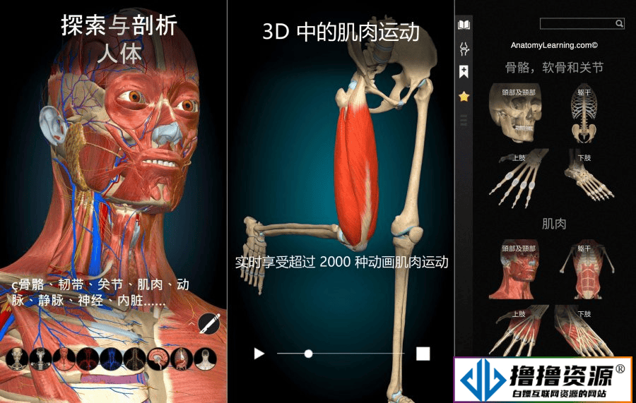 安卓3D解剖学图谱 v2.1.392 解锁高级版|不死鸟资源网