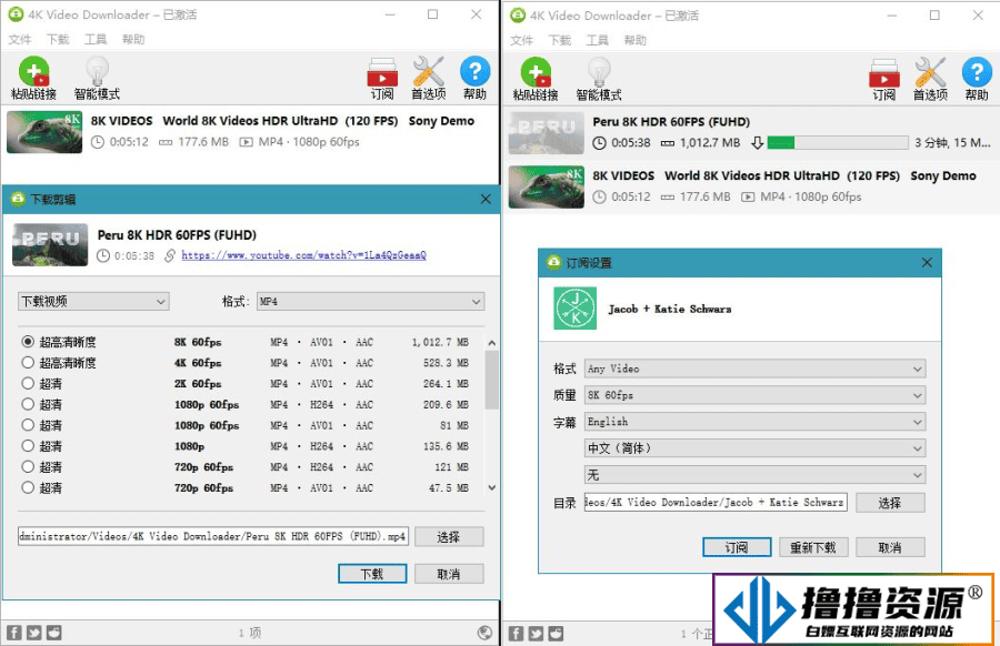 4K Video Downloader v4.31.0.0091/4K视频下载器/油管高清视频下载利器|不死鸟资源网