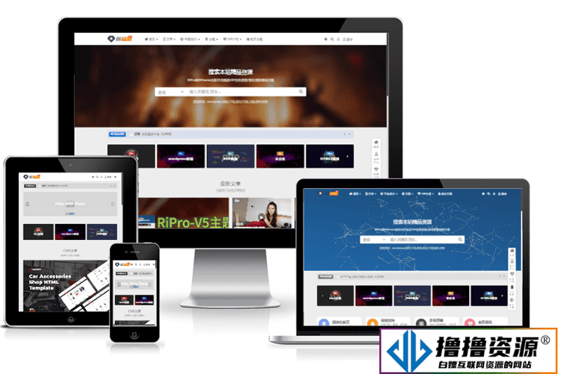 最新RiPro V5主题破解版RiPro-V5 6.4.0开心版源码WordPress主题去授权版 虚拟资源站首选主题|不死鸟资源网