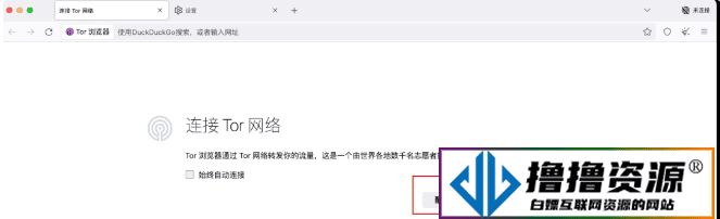 Tor（洋葱） 浏览器的简单配置-不死鸟资源网