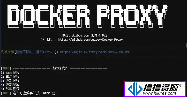 使用Docker-Proxy项目自建Docker镜像加速服务，支持脚本一键部署-不死鸟资源网