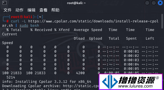 端口映射 无需公网和实名 Cpolar轻松搞定