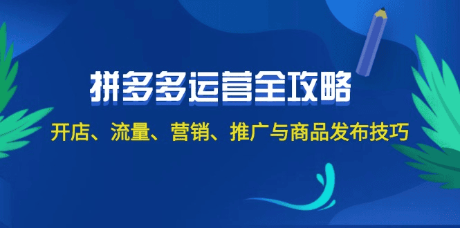 2024拼多多运营全攻略技巧|不死鸟资源网