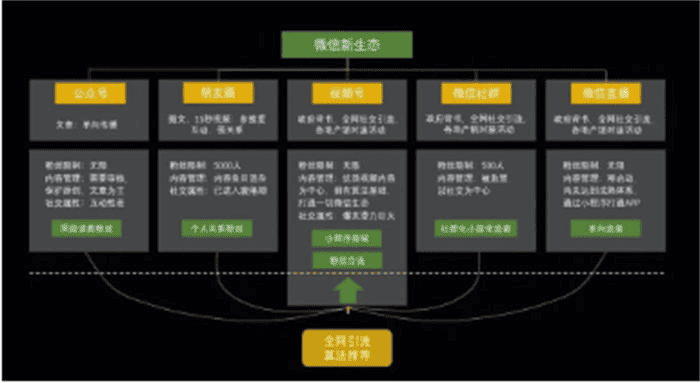 视频号1小时涨100粉经验，人人都能复制|不死鸟资源网