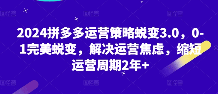 2024拼多多运营策略蜕变3.0|不死鸟资源网