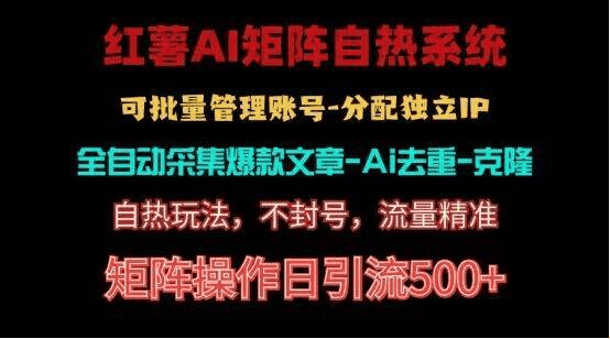 红薯矩阵自热系统，独家不死号引流玩法！矩阵操作日引流500+|不死鸟资源网