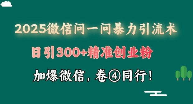 2025最新微信问一问暴力引流术揭秘，日引300+创业粉，单日变现四位数|不死鸟资源网