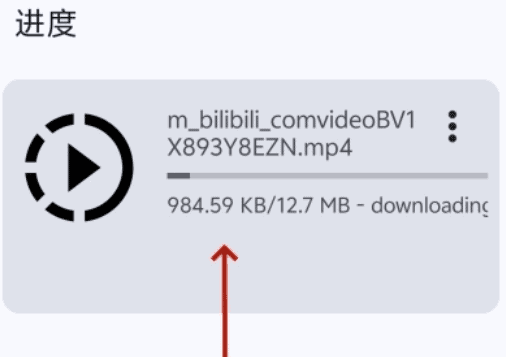 VidSnap_0.02 视频下载器 支持油管 国际抖音等|不死鸟资源网