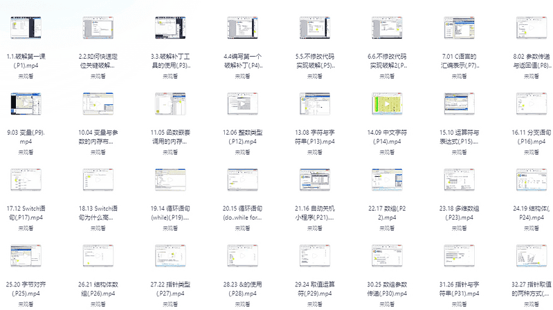 网络逆向破解基础、中级及就业班合集（已完结）|不死鸟资源网