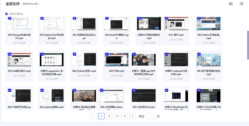 彭涛Python爬虫课程|不死鸟资源网