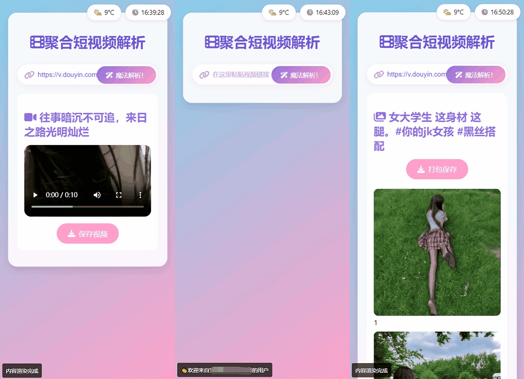 图片[2]|全新二次元聚合短视频解析去水印系统源码 自适应双端|不死鸟资源网