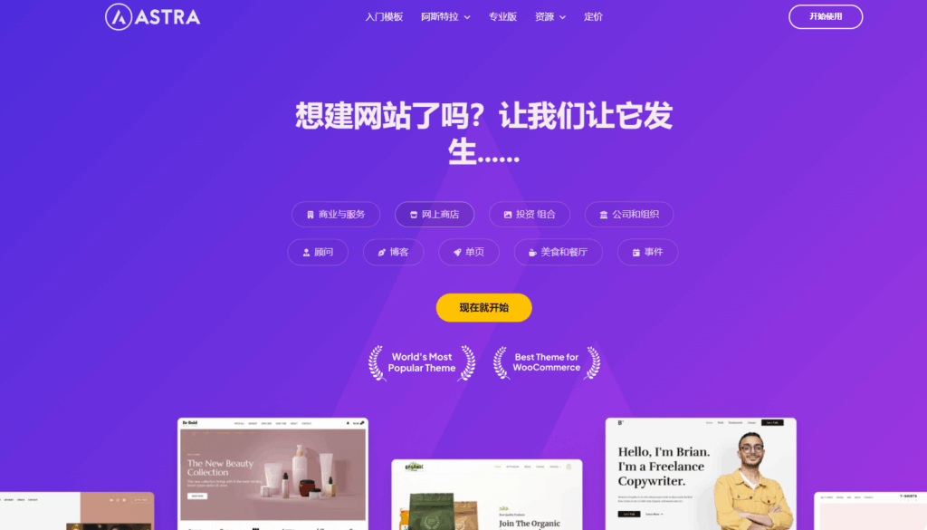 图片[2]|Astra独立站全套主题整理，带pro版插件|不死鸟资源网