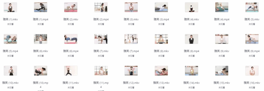 性感瑜伽老师4K高清课 包含老师-雅英-智妍-云芝-云燕|不死鸟资源网