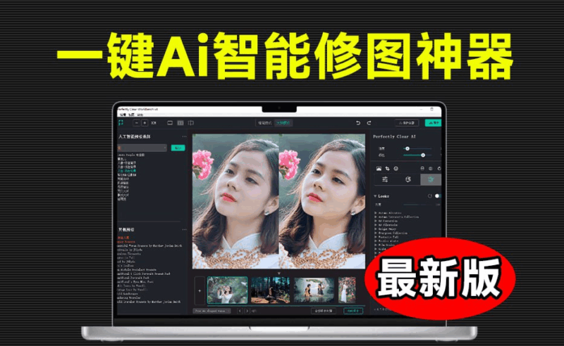 Perfectly Clear WorkBench激活版，AI一键修出大片|不死鸟资源网