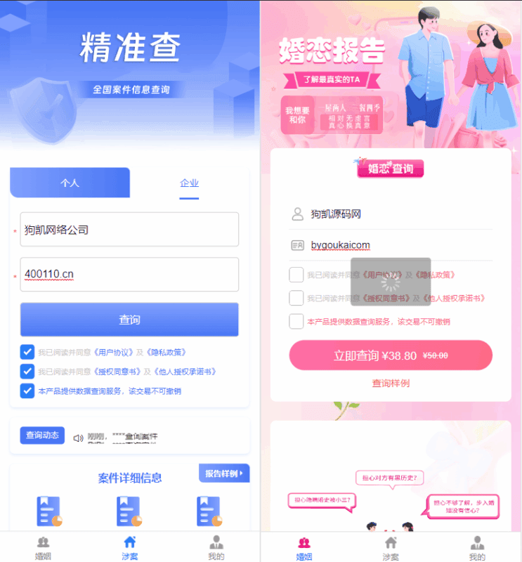 婚姻查询系统、个人企业案件涉诉案底查询系统网站源码|不死鸟资源网