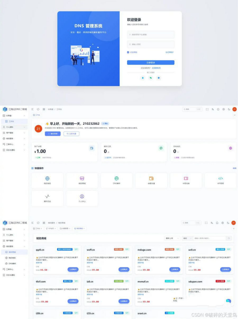 图片[1]|迅风DNS Pro V3.1.2：一站式域名分发管理解决方案|不死鸟资源网