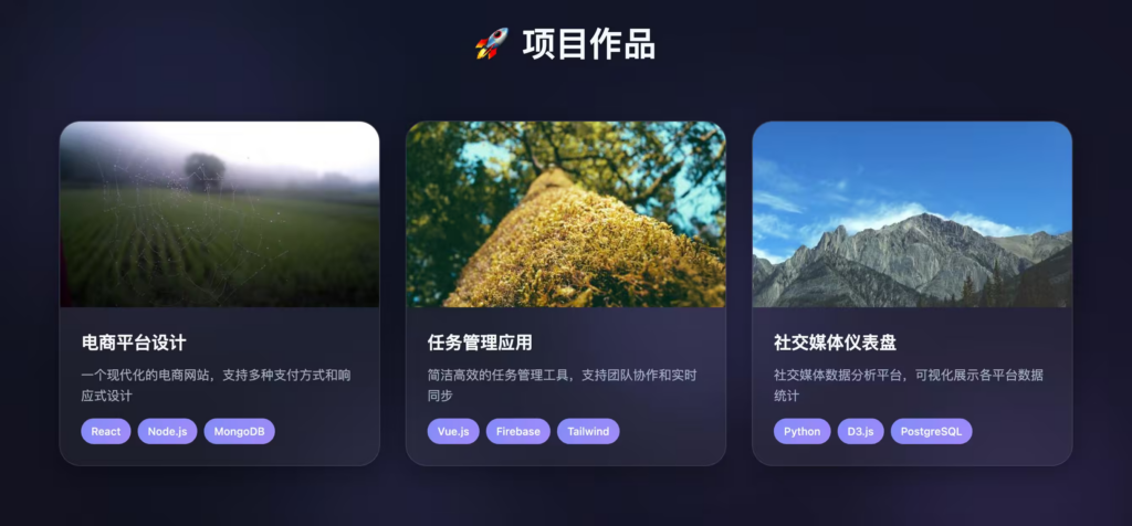 图片[3]|2026全新设计个人主页模板免费下载|不死鸟资源网