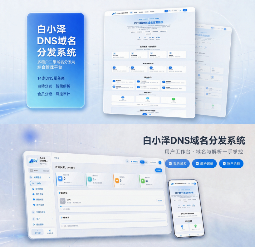 图片[1]|白小泽DNS域名分发系统 公测版 v1.0.0|不死鸟资源网
